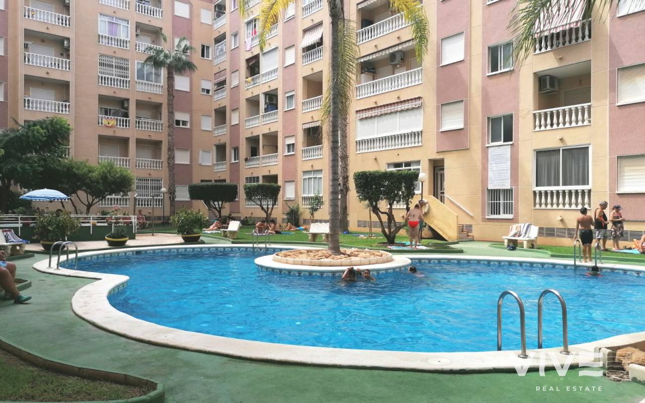 Apartamento - Alquiler a largo plazo - Torrevieja - LT0032