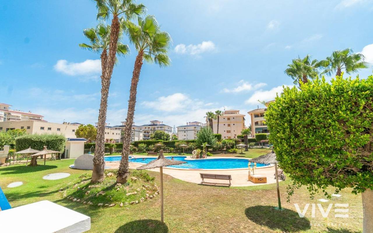 Apartamento - Alquiler a largo plazo - Torrevieja - PF-70636