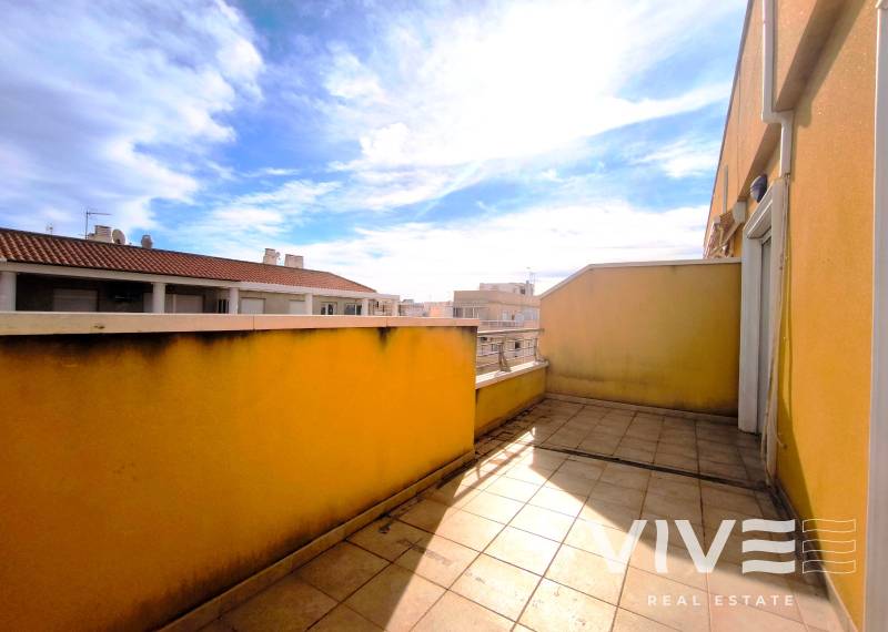 Apartamento - Alquiler a largo plazo - Torrevieja - Torrevieja