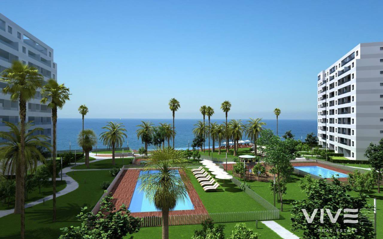 Apartamento - Nueva construcción  - Torrevieja - REDSP-43294