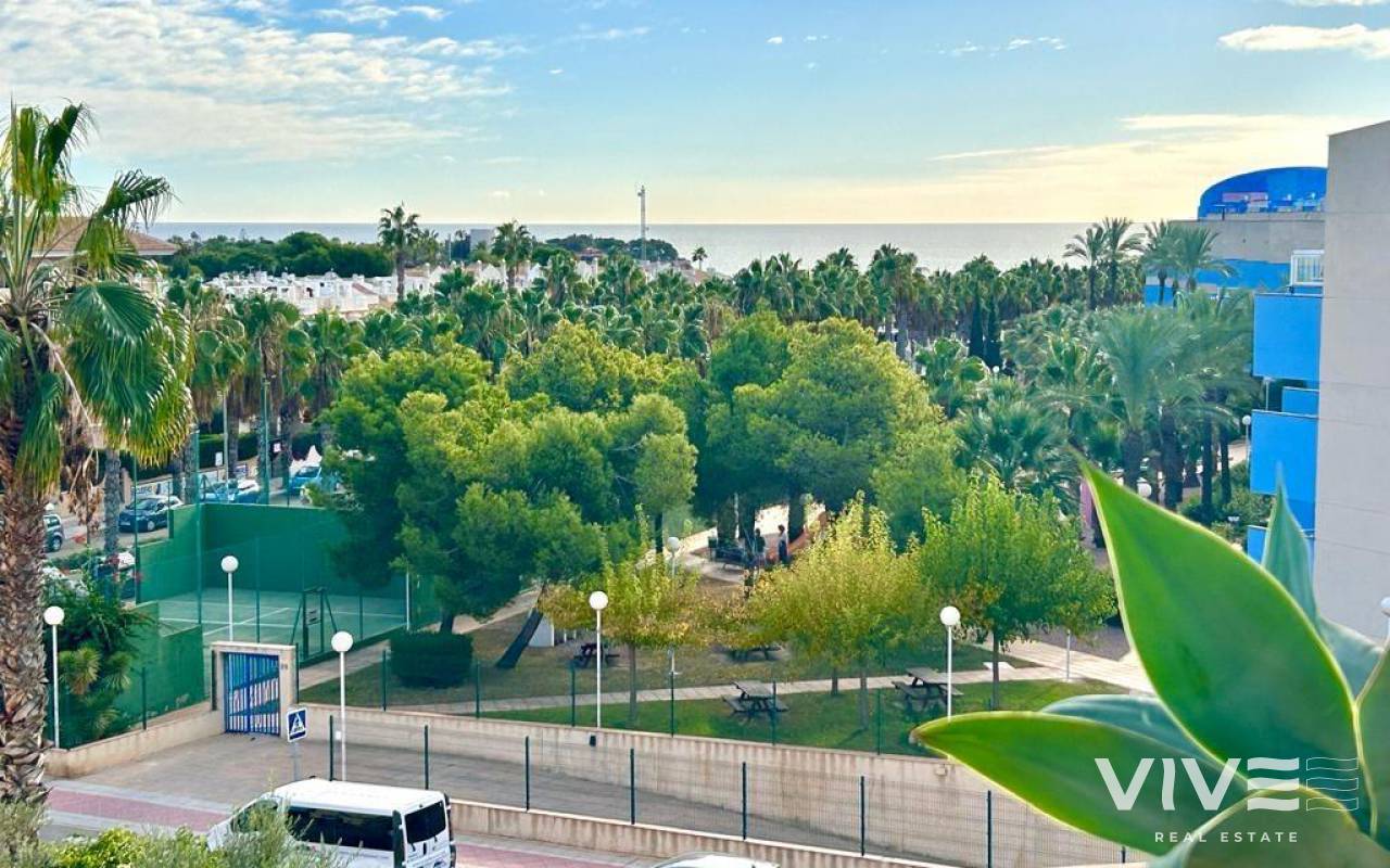 Apartamento - Segunda mano - Orihuela Costa - 48485