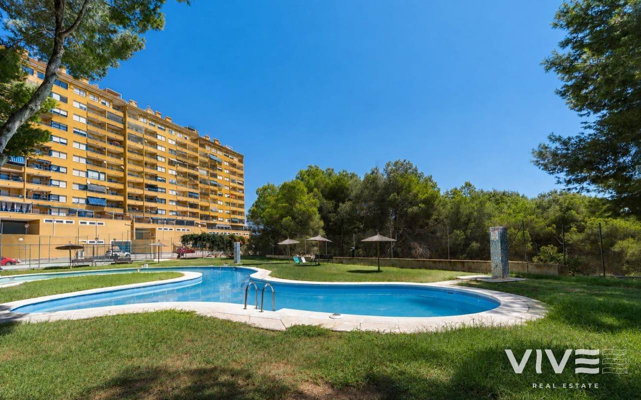 Apartamento - Segunda mano - Orihuela Costa - PF-70919