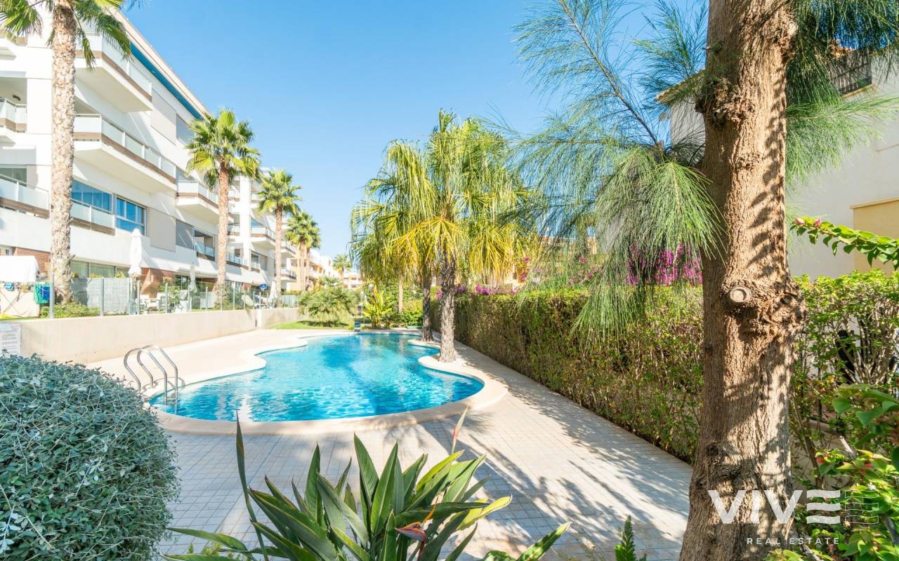 Apartamento - Segunda mano - Orihuela Costa - PF-89601