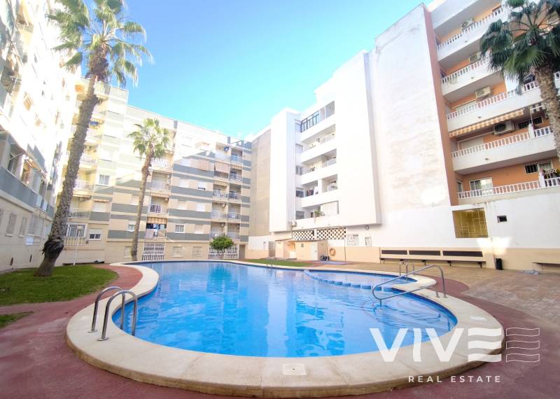Apartamento - Segunda mano - Torrevieja - Avenida Habaneras - Curva de Palangre