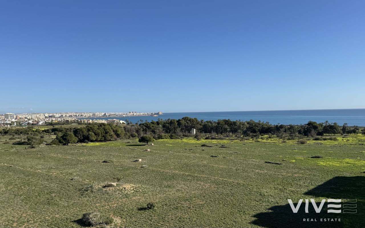 Apartamento - Segunda mano - Torrevieja - DOLP-32082