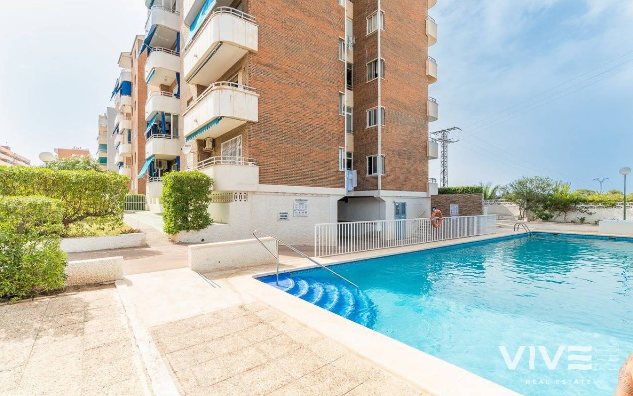 Apartamento - Segunda mano - Torrevieja - PF-40296
