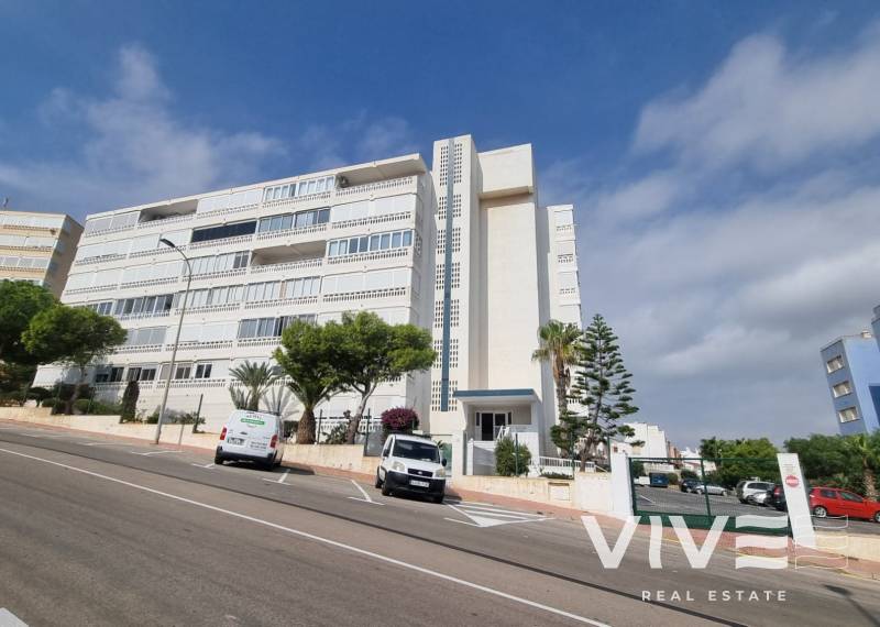 Apartamento - Segunda mano - Torrevieja - Torreblanca La Mata