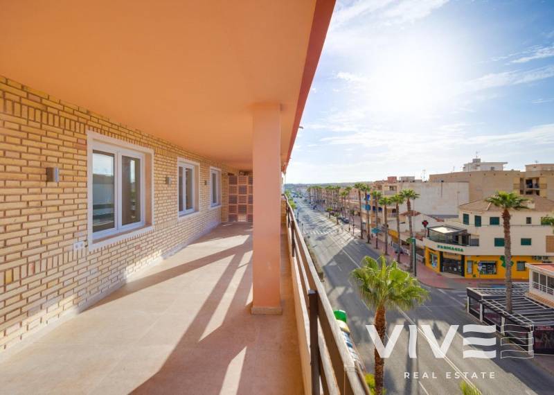 Apartamento - Segunda mano - Torrevieja - Torrevieja