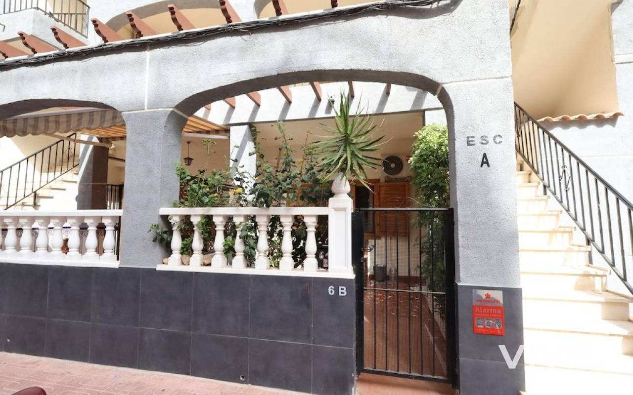Apartment / flat - Resale - Torrevieja - 36499