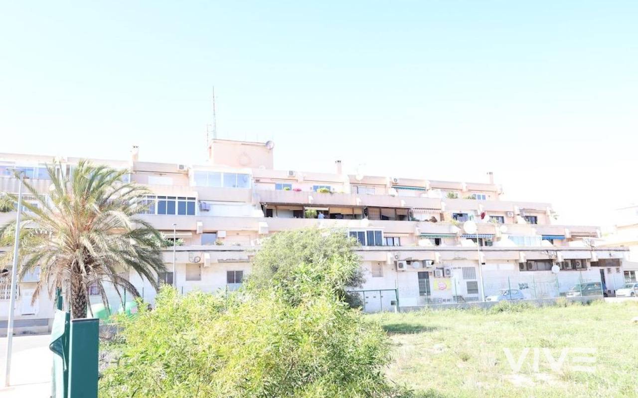 Apartment - Resale - Orihuela Costa - 61584