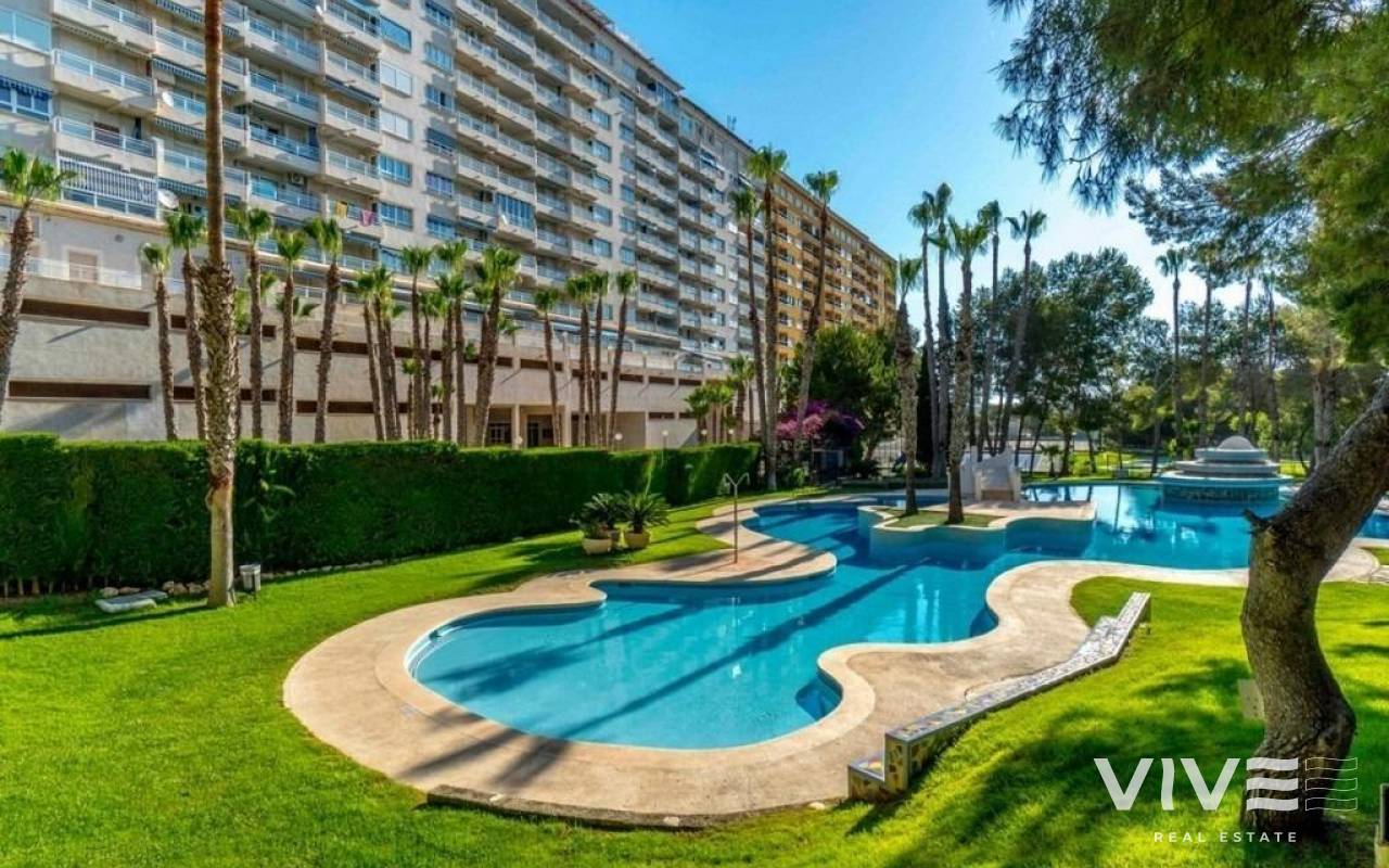 Apartment - Resale - Orihuela Costa - 63587