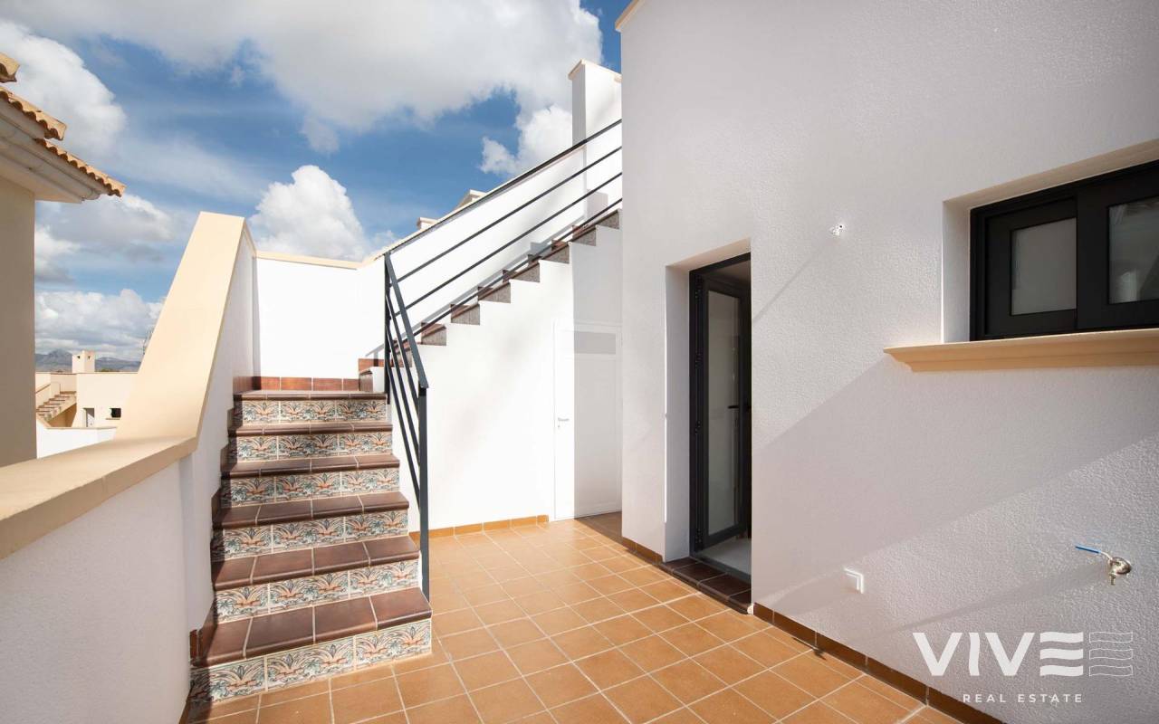 Apartment - Rynek pierwotny - Cox - 35947