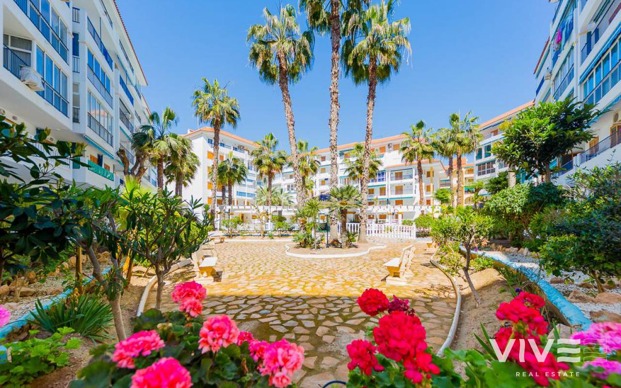 Apartment - Short time rental - Torrevieja - HR0000 VIÑAMAR