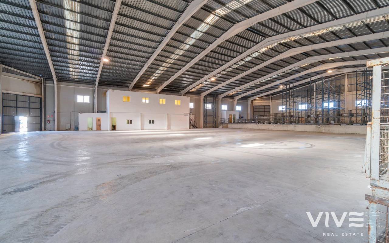 Business Premise - Wynajem - Pilar de la Horadada - PF-20447