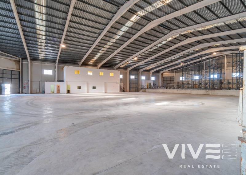 Business Premise - Wynajem - Pilar de la Horadada - 