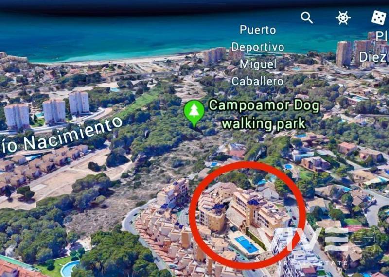 Business - Resale - Orihuela Costa - Campoamor