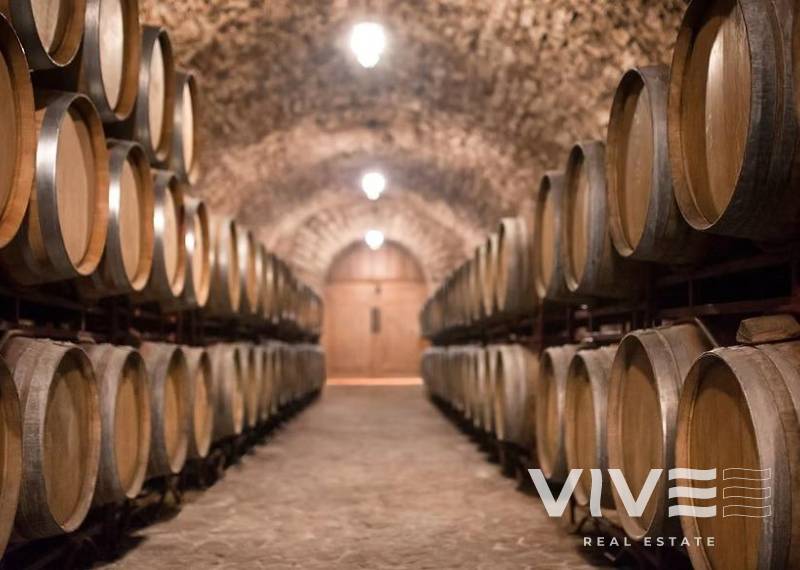 Cellar - Segunda mano - Albacete - Albacete