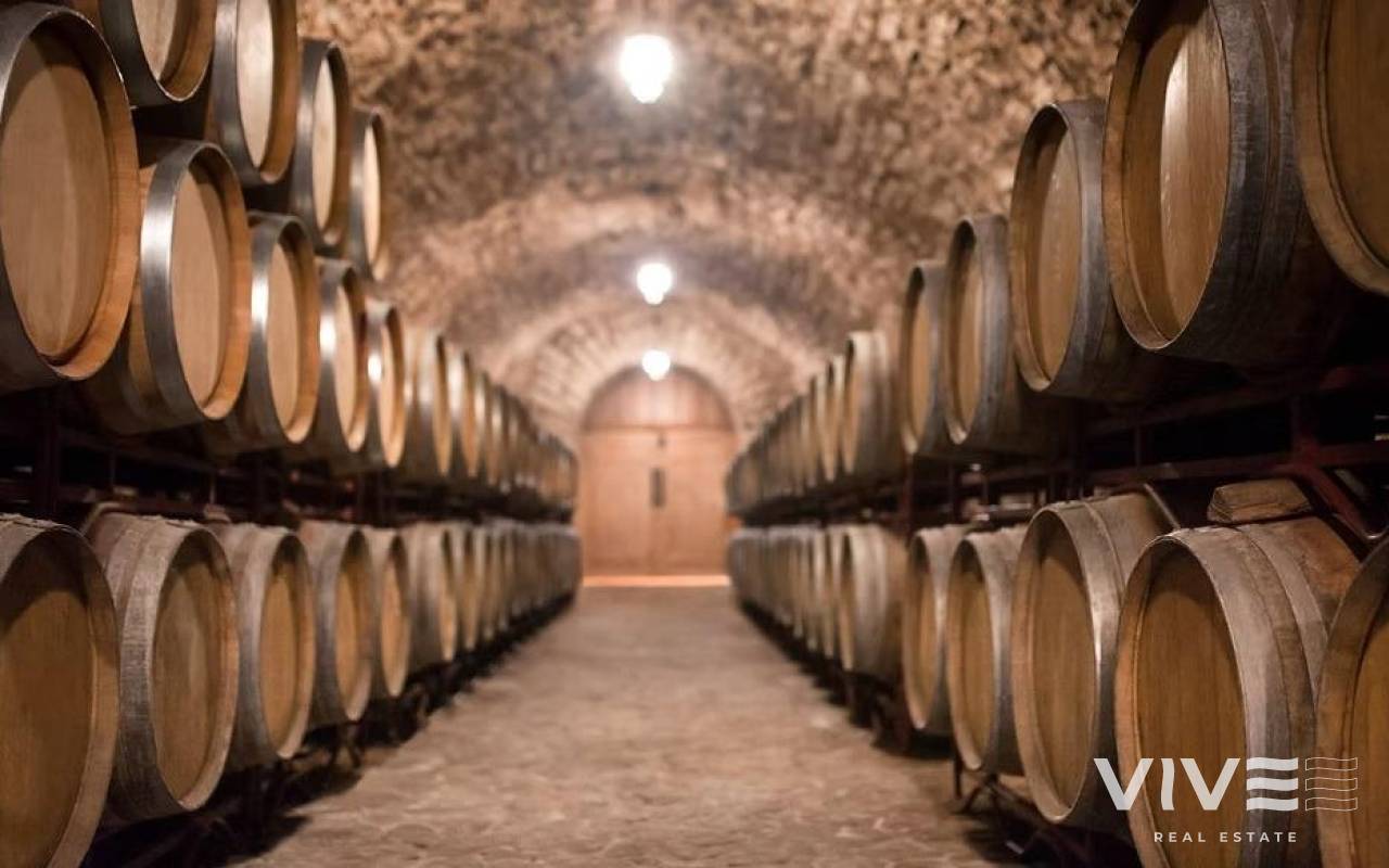 Cellar - Verkauf - Albacete - 27761