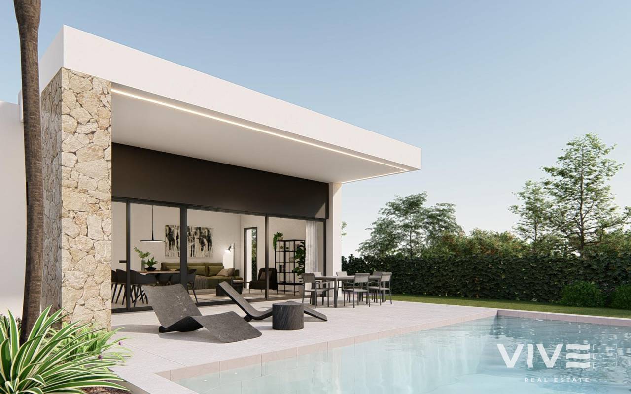 Detached Villa - Neubau - Molina De Segura - REDSP-42949