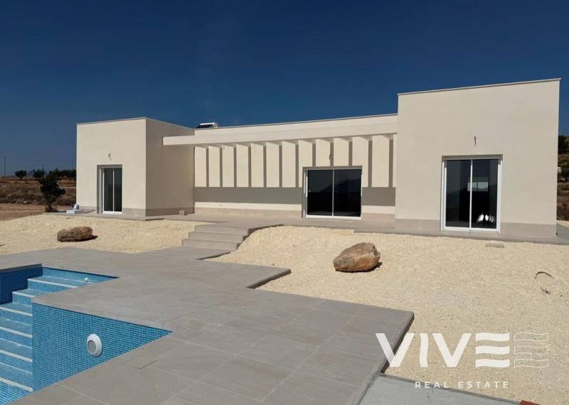 Detached Villa - Neubau - Pinoso - Camino Del Prado