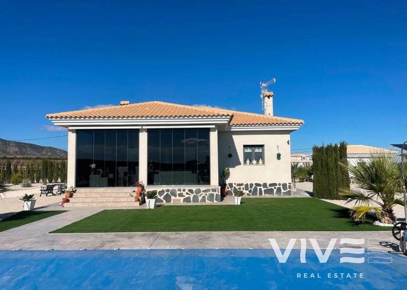 Detached Villa - Neubau - Pinoso - Camino Del Prado