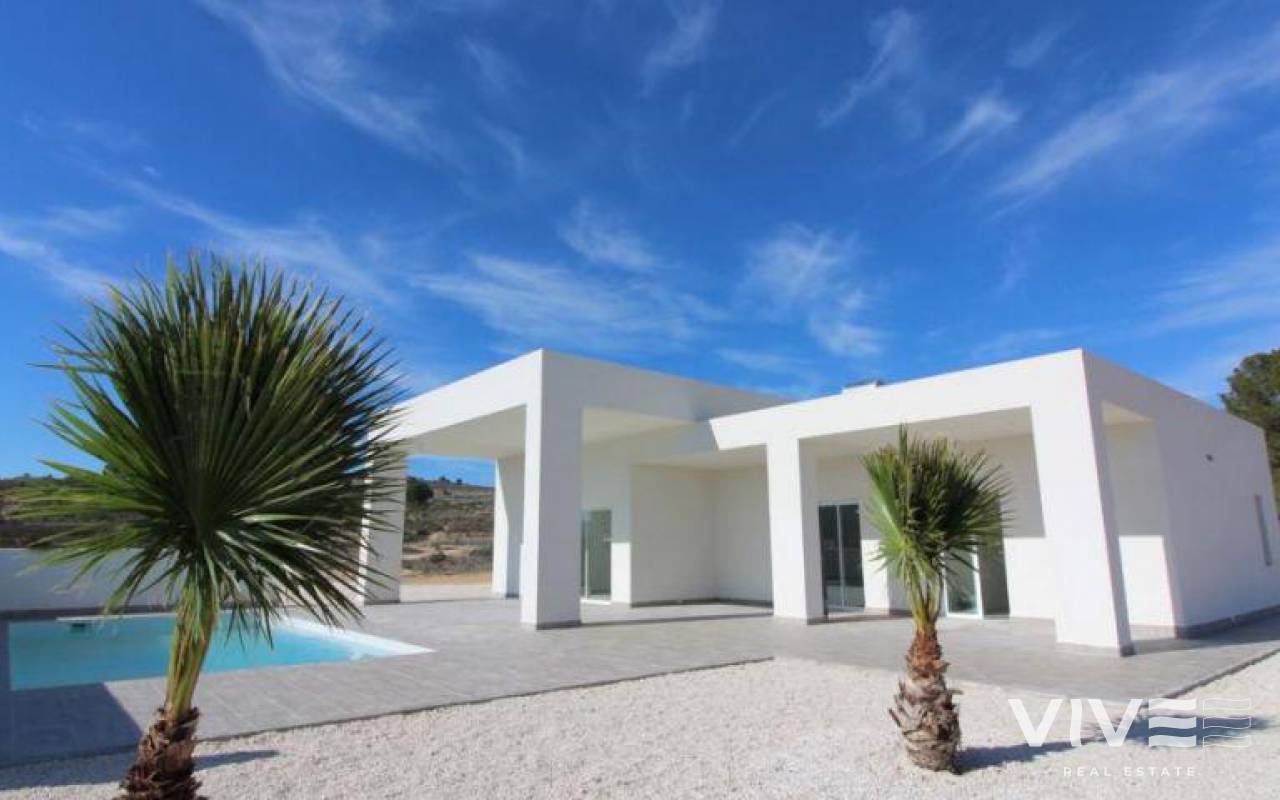 Detached Villa - New Build - Pinoso - REDSP-27641
