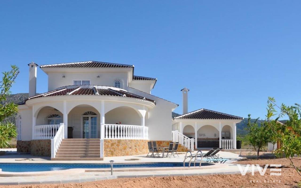 Detached Villa - Nueva construcción  - Pinoso - REDSP-23698