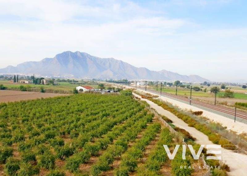 Finca - Verkauf - Callosa De Segura - Callosa De Segura