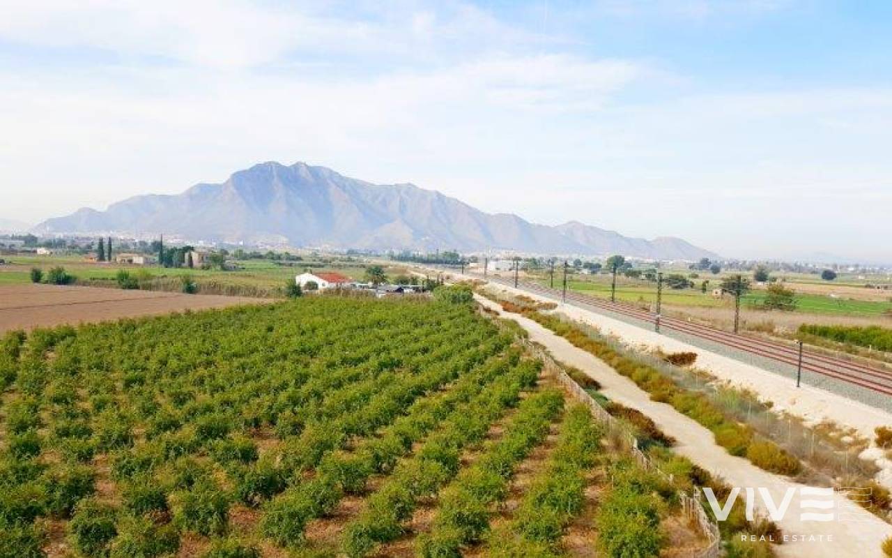 Finca - Verkauf - Callosa De Segura - SM-27421