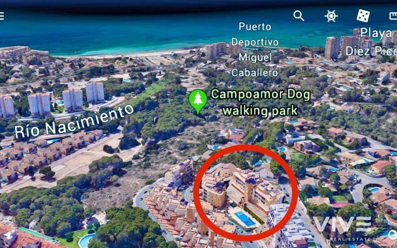 Local comercial - Segunda mano - Orihuela Costa - 34035