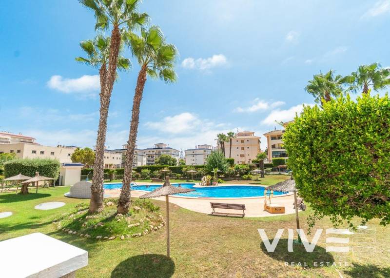 Mieszkanie - Wynajem - Torrevieja - La Mata