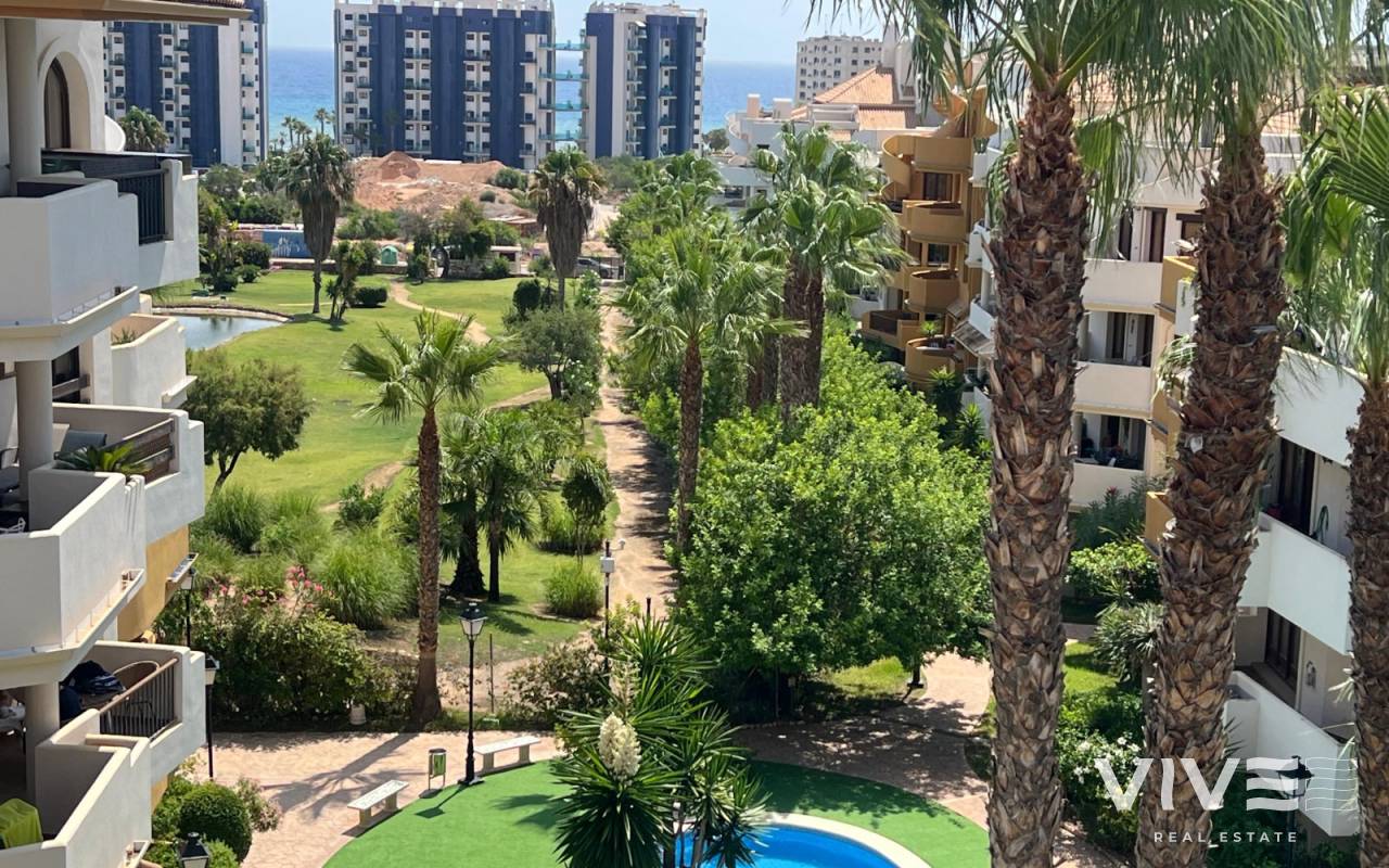 Penthouse - Försäljning  - Torrevieja - RE0204