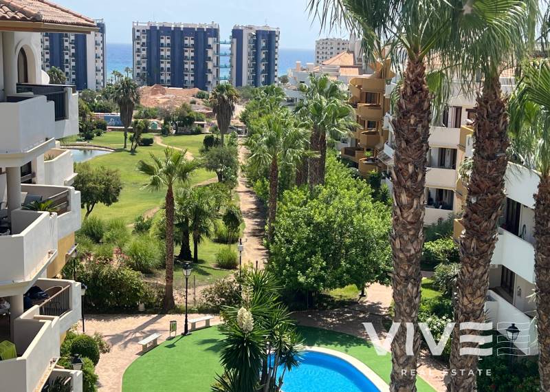Penthouse - Resale - Torrevieja - Punta prima