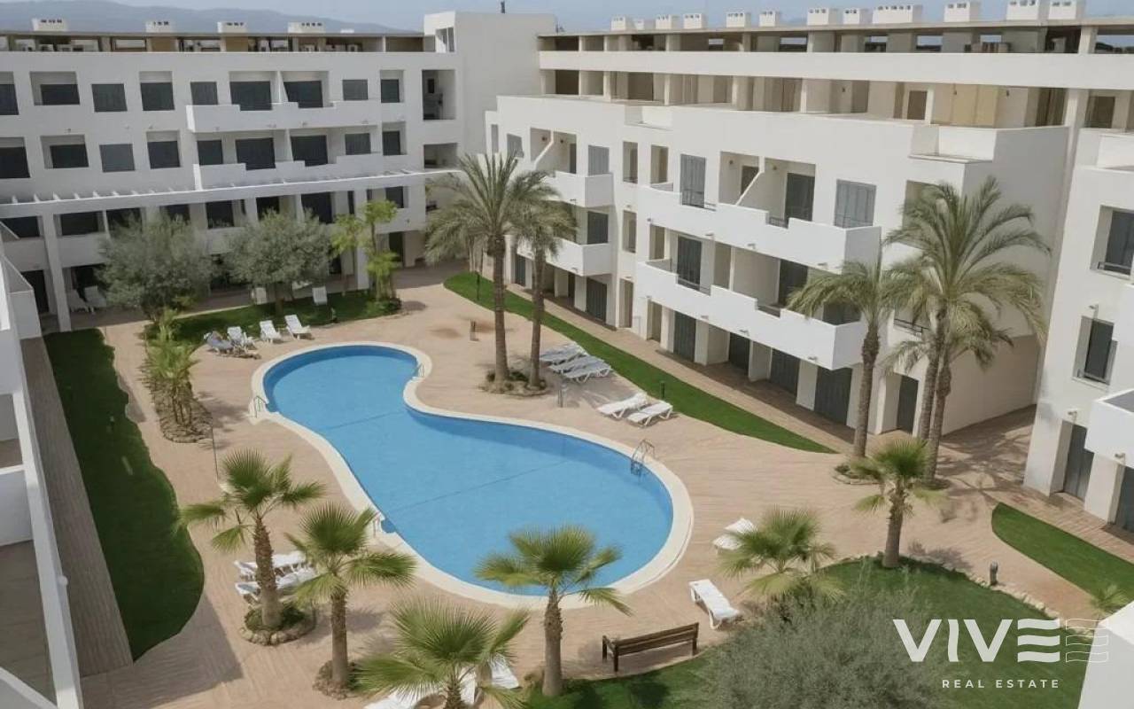 Penthouse - Rynek pierwotny - Vera - 94807