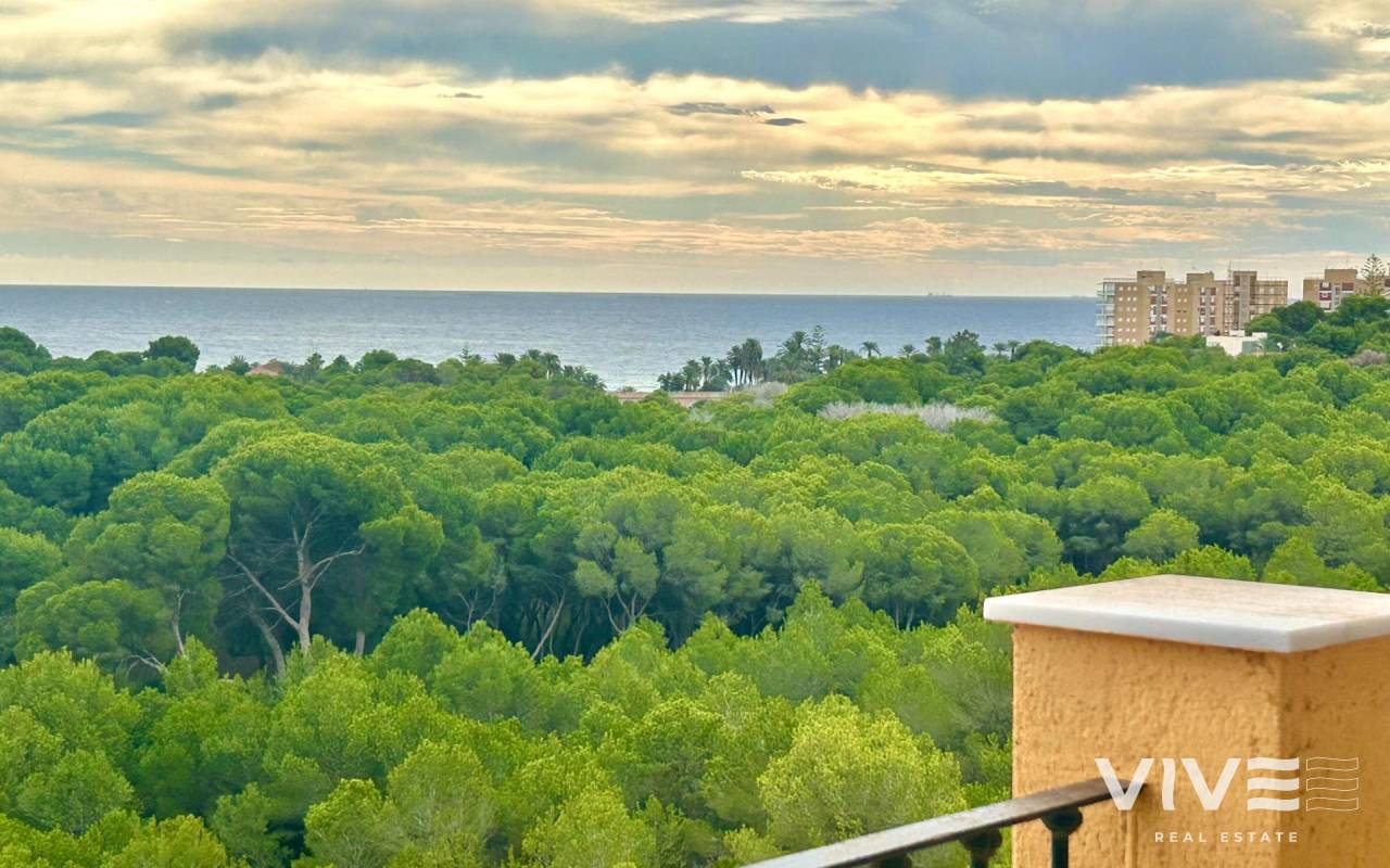 Terraced house - Resale - Orihuela Costa - 96564