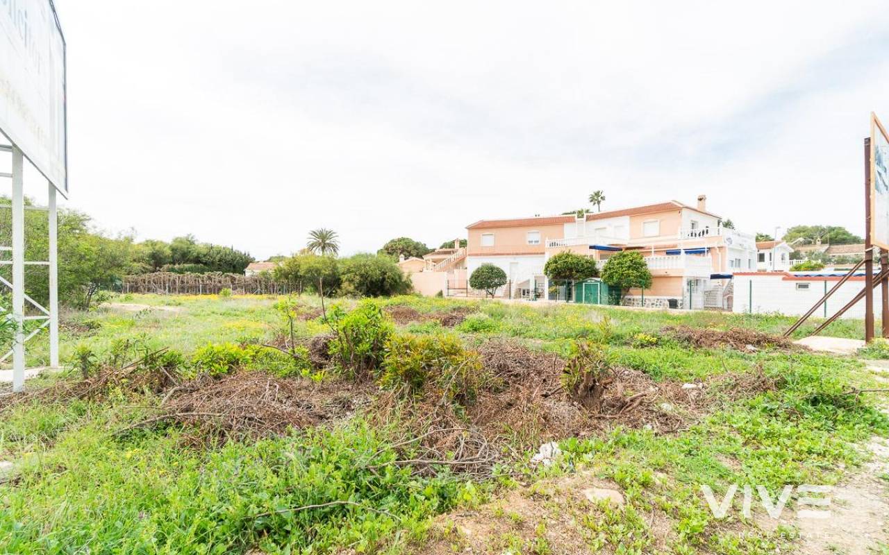 Trädgård/Tomt - Försäljning  - Torrevieja - PF-31569