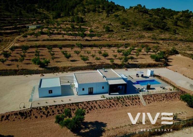 Villa - Nueva construcción  - Abanilla - CAÑADA DE LA LEÑA