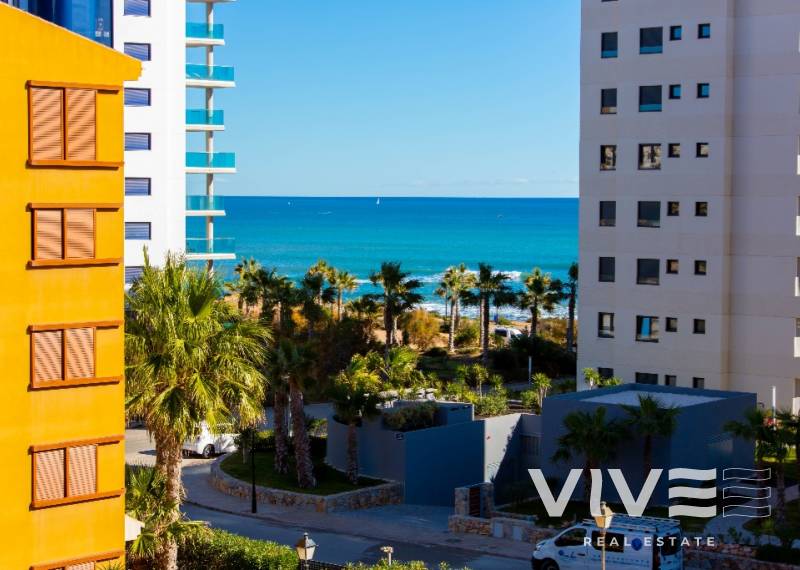 Wohnung - Kurzzeitmiete - Torrevieja - La Recoleta