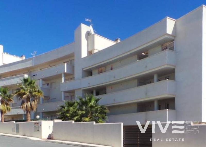 Wohnung - Neubau - Orihuela Costa - PAU 8