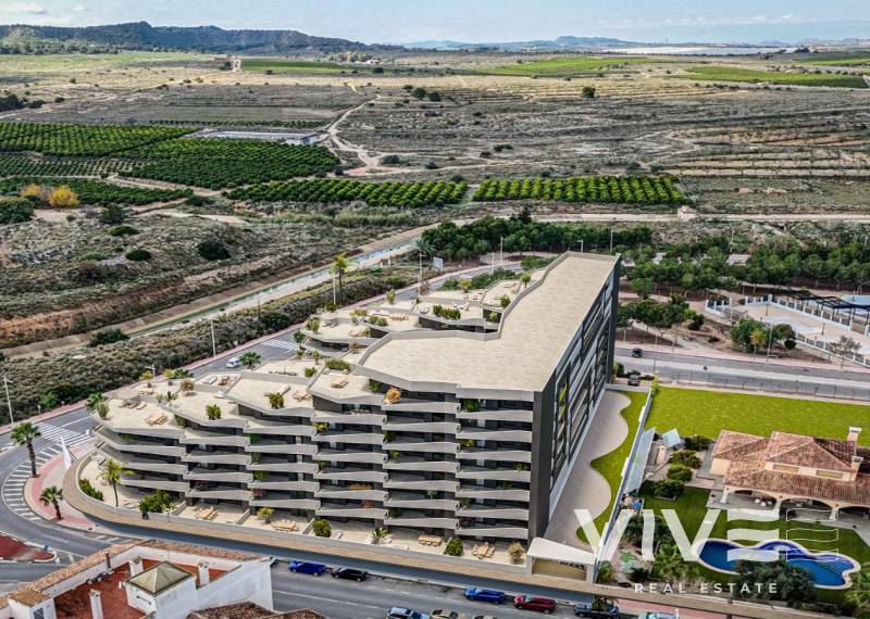 Wohnung - Neubau - San Miguel de Salinas - Pueblo
