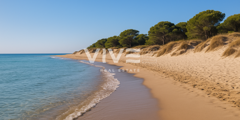 San Fulgencio – The Best-Kept Secret Between the Sea and Golf Courses