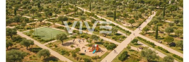 Torrevieja apuesta por el futuro: una nueva era verde comienza en el Sector 25