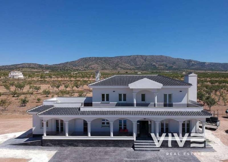 Villa - Nueva construcción  - Pinoso - Camino Del Prado