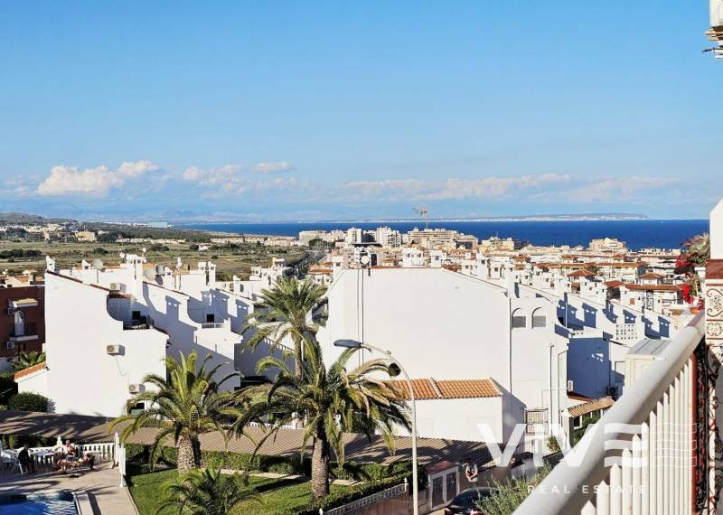 Apartment - Resale - Torrevieja - Torrevieja