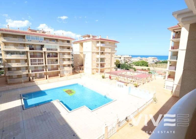 Apartamento - Segunda mano - Torrevieja - Los Europeos